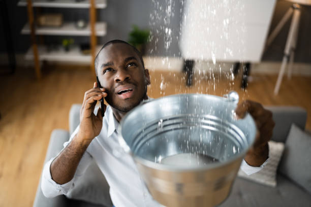 Best Flood damage cleanup  in Golden Valley, MN