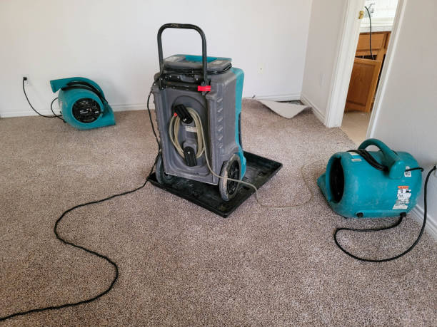 Best Commercial water damage restoration  in Golden Valley, MN