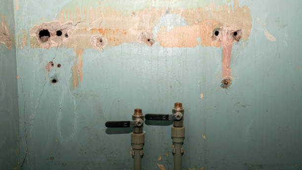 Best Emergency water damage restoration  in Golden Valley, MN