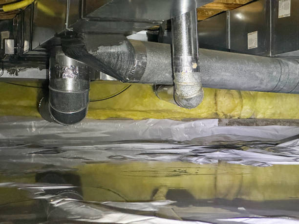 Best Local water damage restoration  in Golden Valley, MN