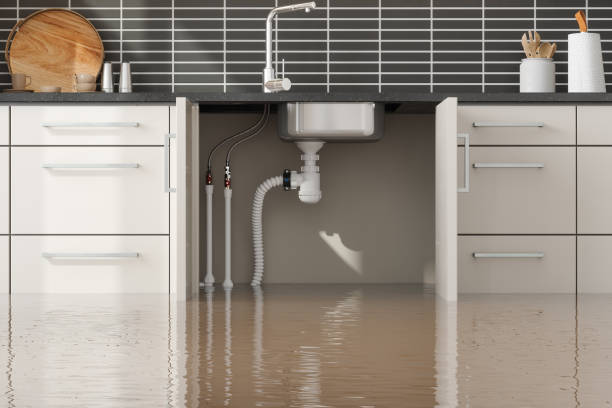 Sewage cleanup and water damage restoration in MN
