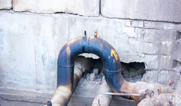 Best Mold removal after water damage  in Golden Valley, MN