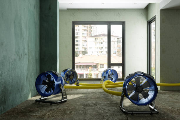Best Water damage restoration near me  in Golden Valley, MN