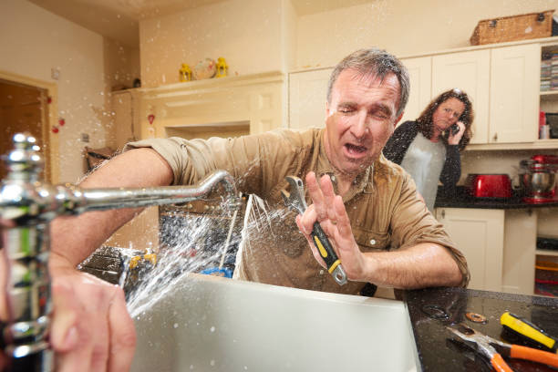 Best Flooded house restoration  in Golden Valley, MN